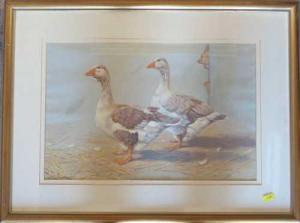 CRAWSHAW DONNA 1960,two geese,Serrell Philip GB 2022-07-21