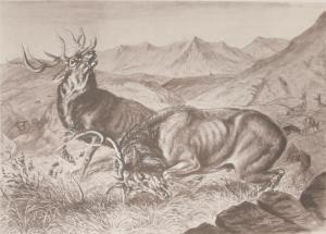 CREALOCK Maj. Gen. Henry Hope,Deer-Stalking in the Highlands of Scotland,1892,Bonhams 2017-10-25