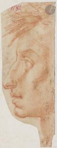 CRISTOFANO IL FRANCIABIGIO Francesco 1482-1525,Profil gauche d'homme,Ader FR 2020-05-29