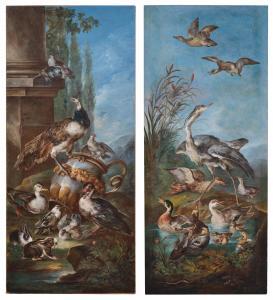 CRIVELLI IL CRIVELLONE Angelo Maria 1690-1730,A peacock, pigeons, duc,19th century,Palais Dorotheum 2023-10-25