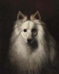 CROME Vivian 1858-1890,Head of a white dog, possibly a Spitz,1883,Christie's GB 2018-11-20