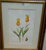 CROSSTHWAITE Sally 1900-1900,Studies of tulips,1992,Bellmans Fine Art Auctioneers GB 2012-08-01