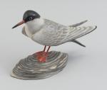 CROWELL A Elmer 1862-1952,COMMON TERN,1930,Eldred's US 2024-04-04