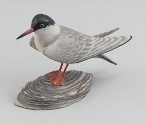 CROWELL A Elmer 1862-1952,COMMON TERN,1930,Eldred's US 2024-04-04