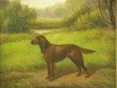 CROWTHER Henry 1905-1939,Study of a red setter,1926,Peter Francis GB 2011-11-15