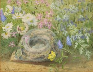 CRUICKSHANK William,Still Life, Bird's Nest and Flowers,Bamfords Auctioneers and Valuers 2023-02-15