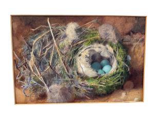 CRUICKSHANK William 1848-1922,Still life of birds nest,Reeman Dansie GB 2024-02-04
