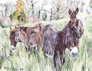 Cullinan Cormac,DONKEYS AT LOUGH MEELAGH,Ross's Auctioneers and values IE 2020-02-26
