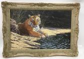 CUMMINS Stephen 1943,tiger resting by water,Stacey GB 2019-07-15