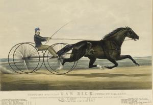 CURRIER # IVES PUBLISHERS 1834-1907,TROTTING STALLION DAN RICE,1853,Sotheby's GB 2019-01-17
