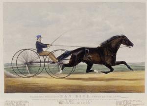 CURRIER # IVES PUBLISHERS 1834-1907,Trotting Stallion Dan Rice,1866,Sotheby's GB 2003-01-16