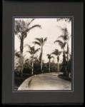 CURTIS Edward Sherrif,Album containing 31 photographs of the grounds of ,PBA Galleries 2007-11-29