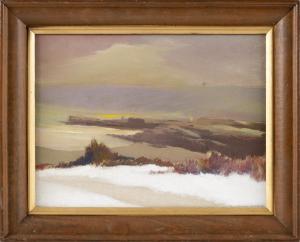 CURTIS HOWARD A,Winter sunset,Eldred's US 2020-02-20