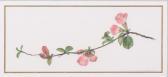 CUTRONA CAROLINE 1900-1900,FLOWERING BRANCH,Potomack US 2023-04-07