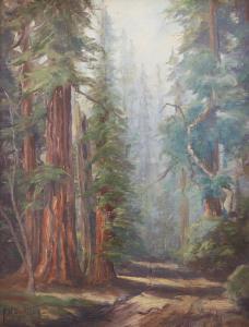CUTTING Francis Harvey 1872-1964,Redwood forest interior,John Moran Auctioneers US 2018-12-12