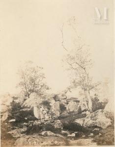 CUVELIER Eugene 1837-1900,Les nénuphars à Fampoux,1860-63,Millon & Associés FR 2021-06-02