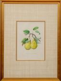 désiré bivort Alexandre Joseph 1809-1872,Fruits,Stair Galleries US 2016-10-07