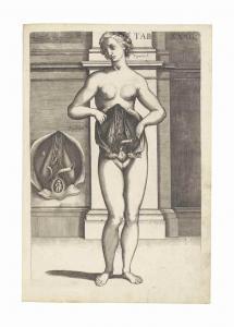 DA CORTONA Pietro 1596-1669,Tabulae anatomicae,Christie's GB 2017-07-12