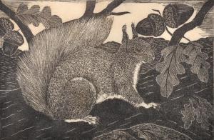 DAGLISH ERIC Fitch 1894,Red Squirrel,John Nicholson GB 2019-01-30