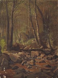 DAHLGREN Marius 1844-1920,A Wooded Stream,Bonhams GB 2007-08-07