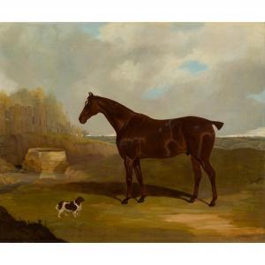 DALBY OF YORK David 1794-1850,A LIVER CHESTNUT HUNTER AND A RED AND WHITE SPAN,1837,Lyon & Turnbull 2021-05-19