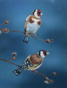 DALY PETER,Goldfinches,Keys GB 2014-05-16