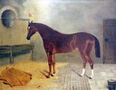 Dalyell B,A thoroughbred in a stable,1879,Bonhams GB 2005-07-21