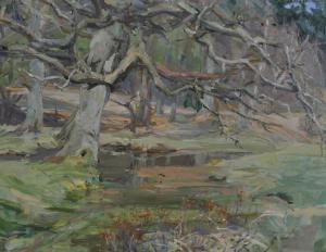 DANE Ethel M,A woodland pond,Burstow and Hewett GB 2011-01-26