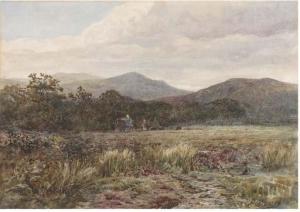 DANIEL E 1800-1800,The turf gatherers,Christie's GB 2003-07-03