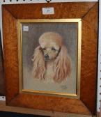 DARBY Charles,Study of a Poodle````s Head,Tooveys Auction GB 2014-04-23