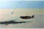 DARE R,A Spitfire in Flight,John Nicholson GB 2015-05-01
