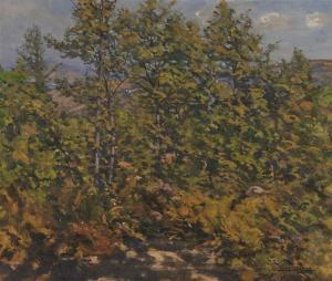 Darley Boit EDWARD 1840-1916,Young Woods at Cernitojo, Tuscany,1907,Grogan & Co. US 2018-06-03