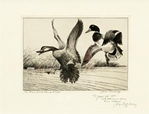 DARLING Jay Norwood 1876-1962,The First Duck Stamp Design,Copley US 2018-07-19