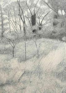 darrell Bill 1932,Wooded Landscape,Rowley Fine Art Auctioneers GB 2017-09-05