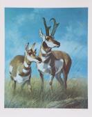 DARRO Peter 1917-1997,Pronghorn Antelope,1979,Ro Gallery US 2023-05-13