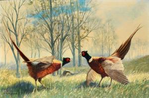 DARRO Peter 1917-1997,Ring-necked Pheasants,1971,Ro Gallery US 2023-05-13