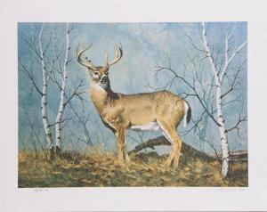 DARRO Peter 1917-1997,White Tail Deer,1979,Ro Gallery US 2023-05-13