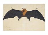 DAS BHAWANI,A Great Indian Fruit Bat or Flying Fox (Pteropus G,Sotheby's GB 2021-10-27