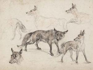 DASVELDT Jan H 1770-1850,Studies of foxes,Christie's GB 2015-05-13