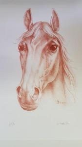 DAUTRY Marc 1930-2008,Portrait du cheval de course,Sadde FR 2020-08-26
