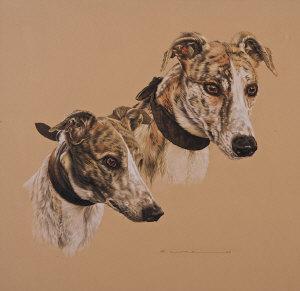 DAVID BAIRD,Two Greyhounds,Adams IE 2008-10-29