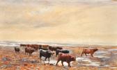 DAVIDSON G,Highland Cattle,Shapes Auctioneers & Valuers GB 2013-03-02
