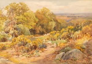 DAVIES edward 1841-1920,Sheep on a Hillside,Simon Chorley Art & Antiques GB 2022-07-19