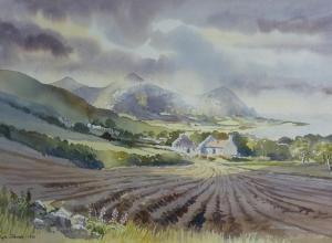 DAVIES G WYN,farmstead and The Rivals in the Llyn Peninsula,1991,Rogers Jones & Co GB 2017-12-02