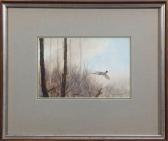 DAVIES,Pheasant in Flight,1980,Copley US 2014-07-25