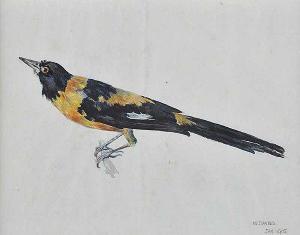 DAVIES W,BIRD STUDY,Ross's Auctioneers and values IE 2016-12-07