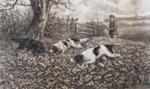 DAVIS Arthur A 1877-1905,Gun dogs retrieving in a turnip field,Morphets GB 2017-10-21