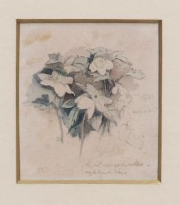 DAVIS Edward Thompson 1833-1867,Study of flowers,1862,Keys GB 2017-07-18