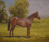 DAVIS Errol B 1926,Portrait of an Anglo Arab Stallion,Dickins GB 2008-11-15