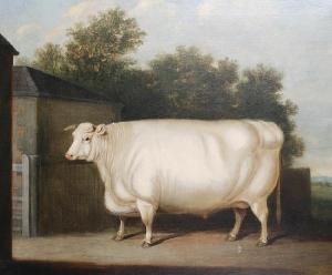 DAVIS Henry William Banks,A prize white bull standing beside a farmyardgate,Bonhams 2008-09-09